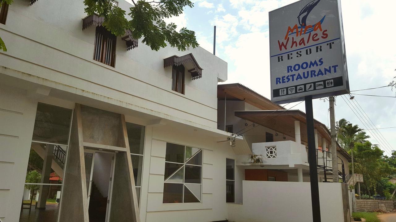Mira Whales Resort Mirissa Extérieur photo